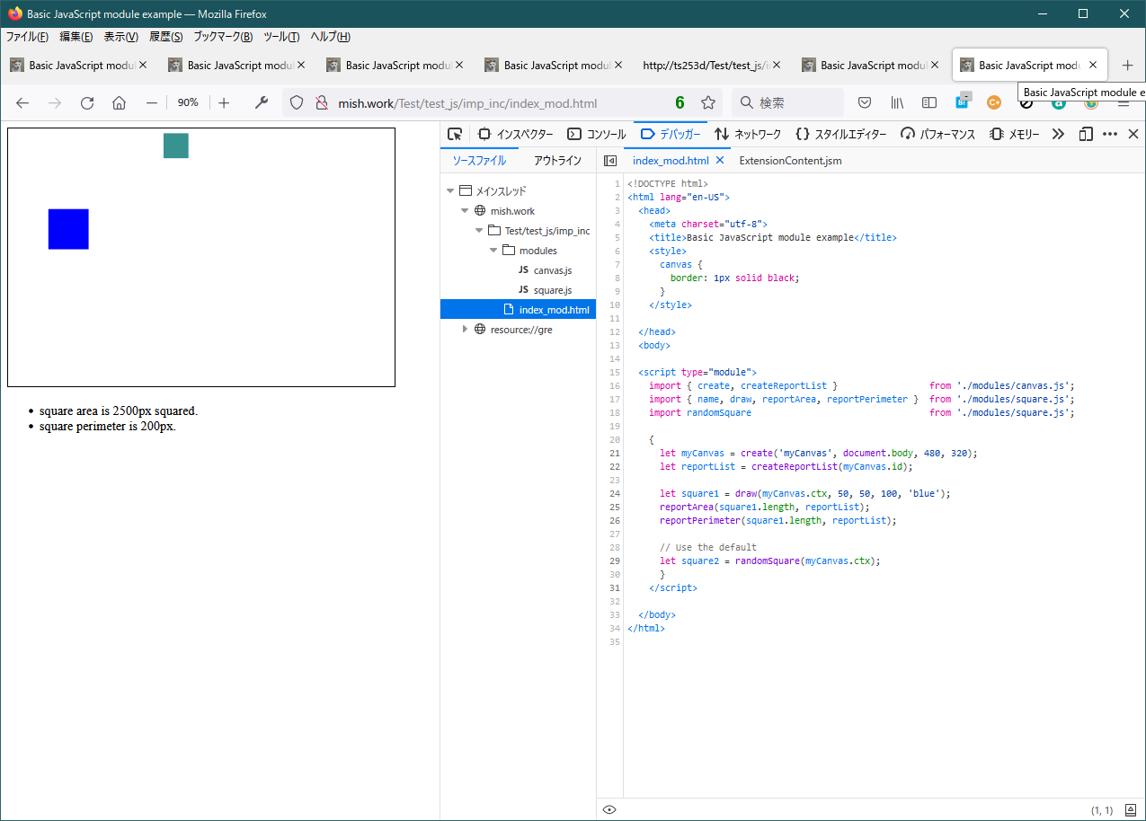 script type="module"